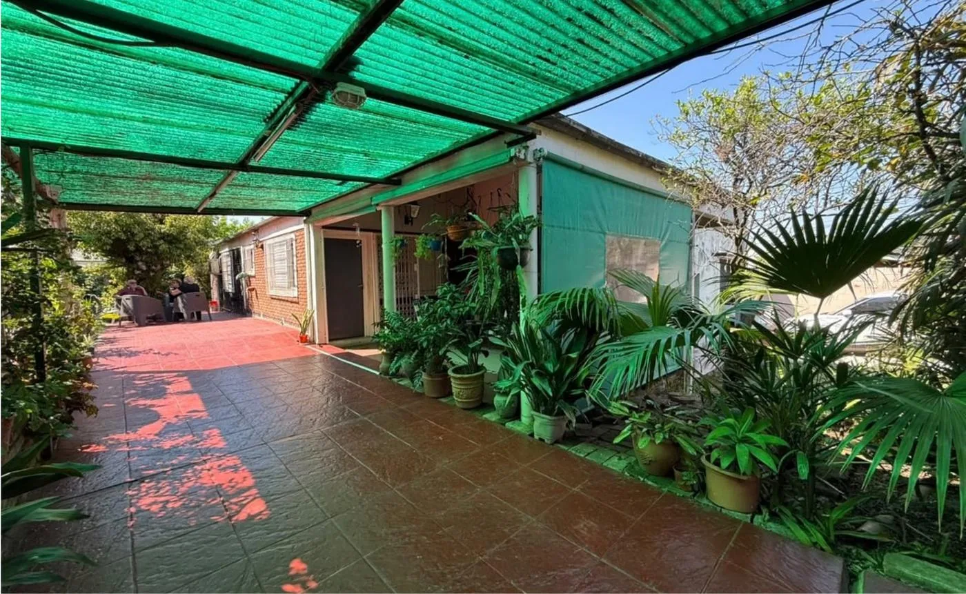 El paso desde el garage hacia la galería, rodeado de plantas