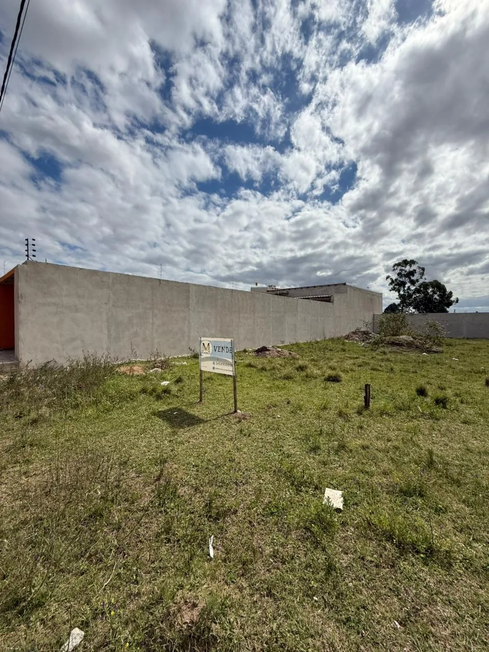 Vista desde el frente, junto al muro lindero