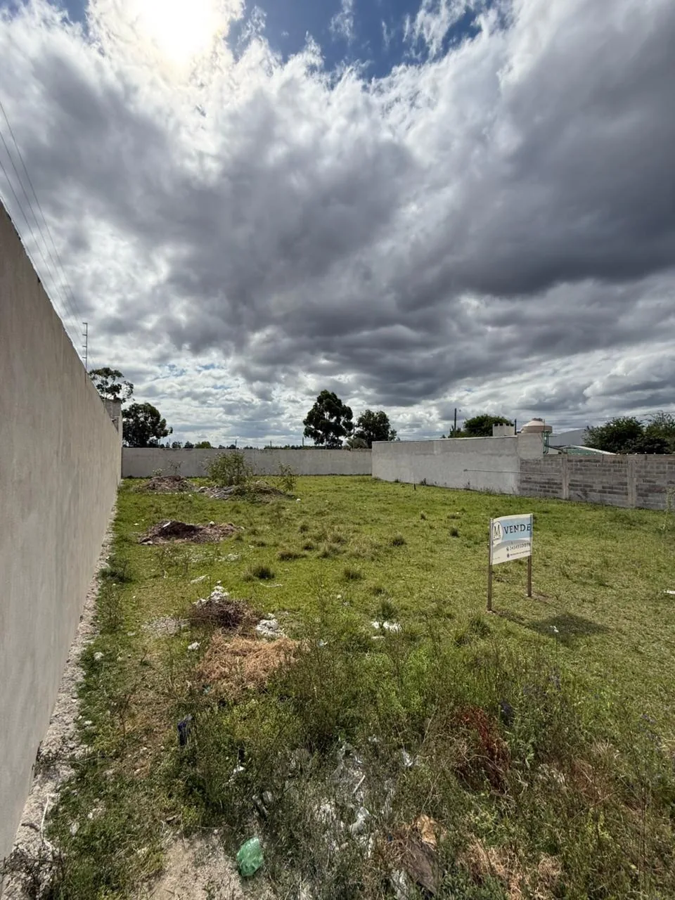 El lote a lo largo del muro lindero, hacia el fondo