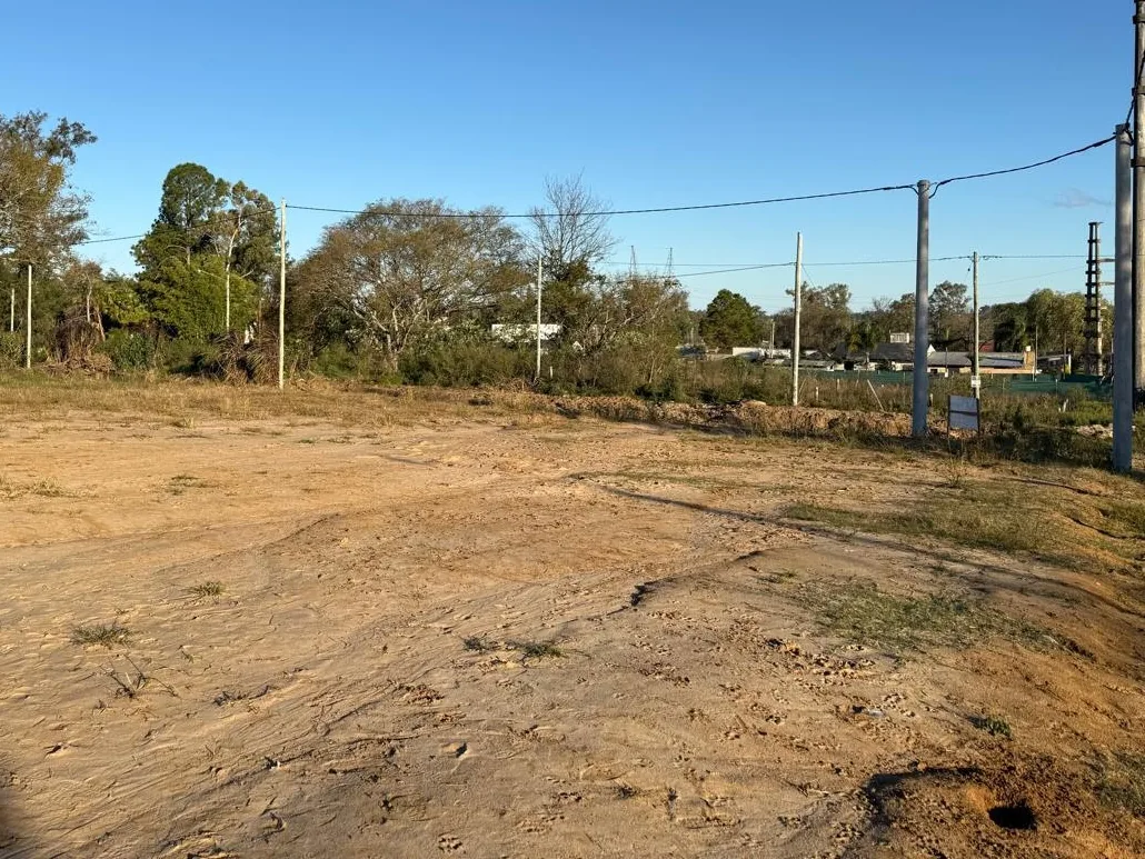 Otra vista del terreno y de la zona