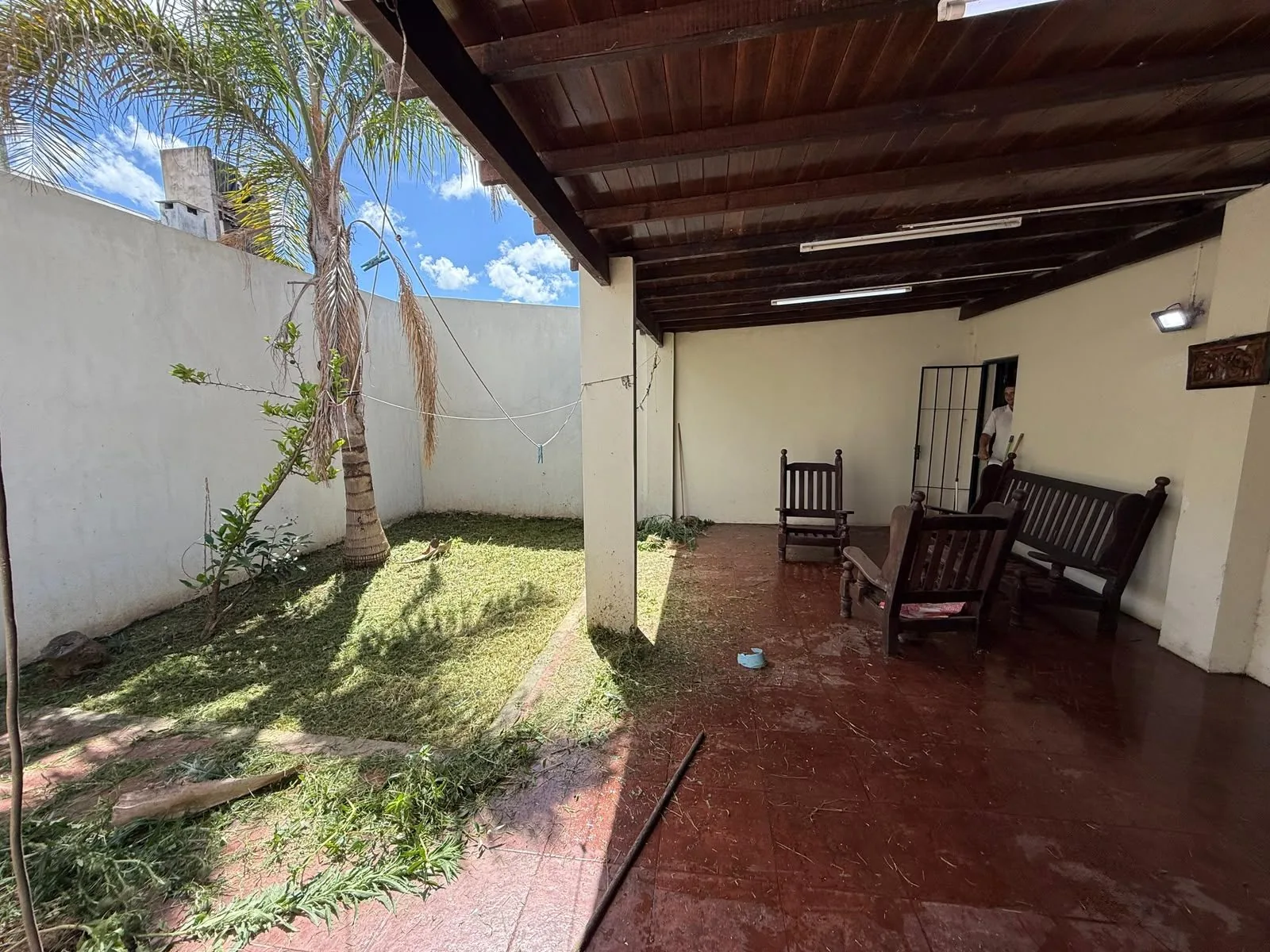 El jardín desde la galería, con césped, palmera y paredes altas que dan privacidad